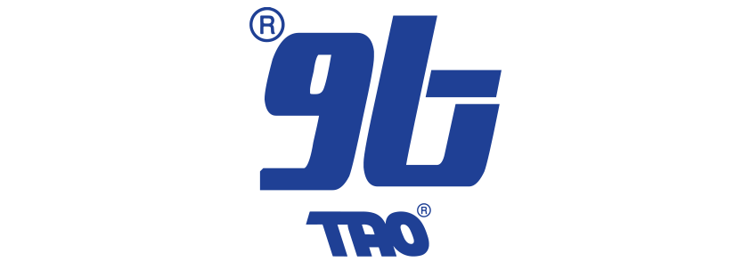 TAO Auto Website